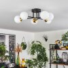 Chehalis Deckenleuchte Glas 10 cm Gold, Schwarz, 6-flammig