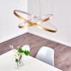 Canisteo Hängeleuchte LED Gold, 2-flammig