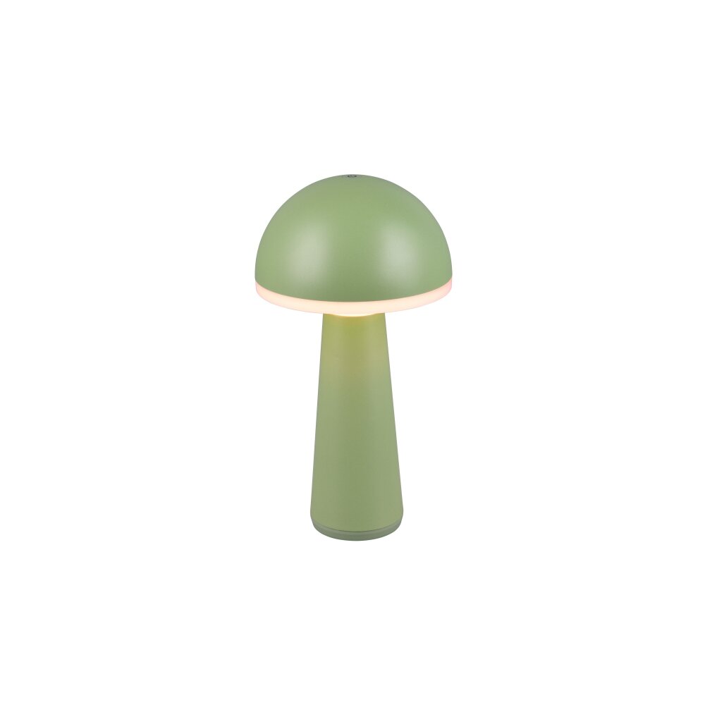 Reality FUNGO Tischleuchte LED Grün, 1-flammig main product photo