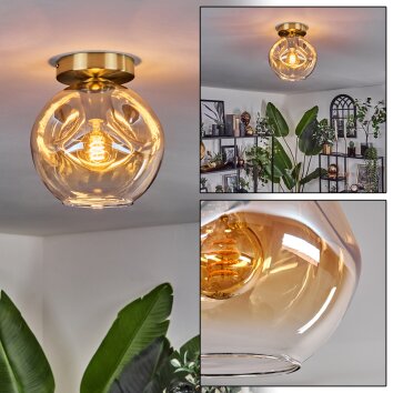 Ripoll Deckenleuchte Glas 20 cm Gold, Schwarz, 1-flammig Ripoll Deckenleuchte Glas 20 cm Gold, Schwarz, 1-flammig