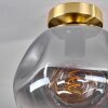 Ripoll Deckenleuchte Glas 25 cm Gold, Schwarz, 1-flammig