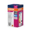 OSRAM LED Value E27 10 Watt 1055 Lumen 6500 Kelvin