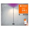 LEDVANCE Smart+ Wifi Stehlampe Schwarz, 1-flammig, Farbwechsler