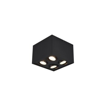Trio Leuchten BISCUIT Deckenleuchte Schwarz, 4-flammig Trio Leuchten BISCUIT Deckenleuchte Schwarz, 4-flammig