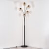 Ripoll Stehleuchte Glas 15 cm Schwarz, 5-flammig