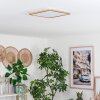 Storselet Deckenpanele LED Gold, 1-flammig