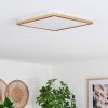 Storselet Deckenpanele LED Gold, 1-flammig