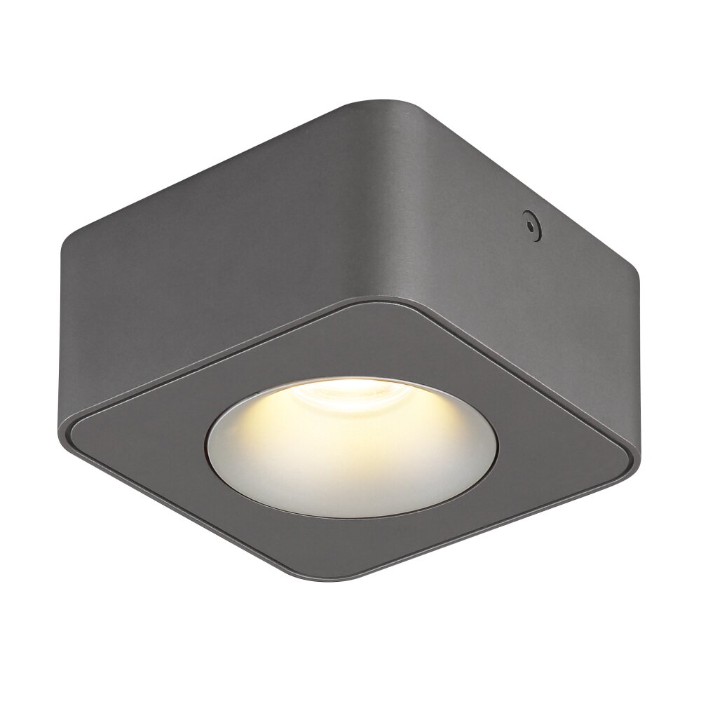 Globo Hangarau Deckenleuchte LED Grau, 1-flammig main product photo