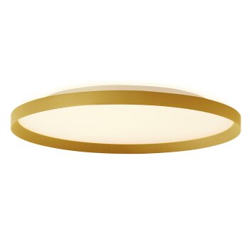 Steinhauer Flady Deckenleuchte LED Gold, 2-flammig Steinhauer Flady Deckenleuchte LED Gold, 2-flammig