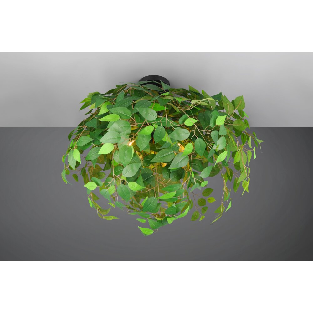 Reality Leavy Deckenleuchte Schwarz, 3-flammig main product photo