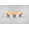 Trio Shanti Deckenspot Grau, 4-flammig
