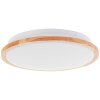 Brilliant Bario Deckenleuchte LED Weiß, 1-flammig