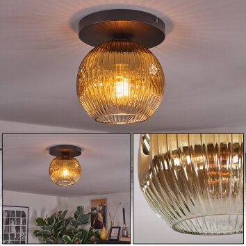 Ripoll Deckenleuchte Glas 20 cm Gold, Klar, 1-flammig Ripoll Deckenleuchte Glas 20 cm Gold, Klar, 1-flammig