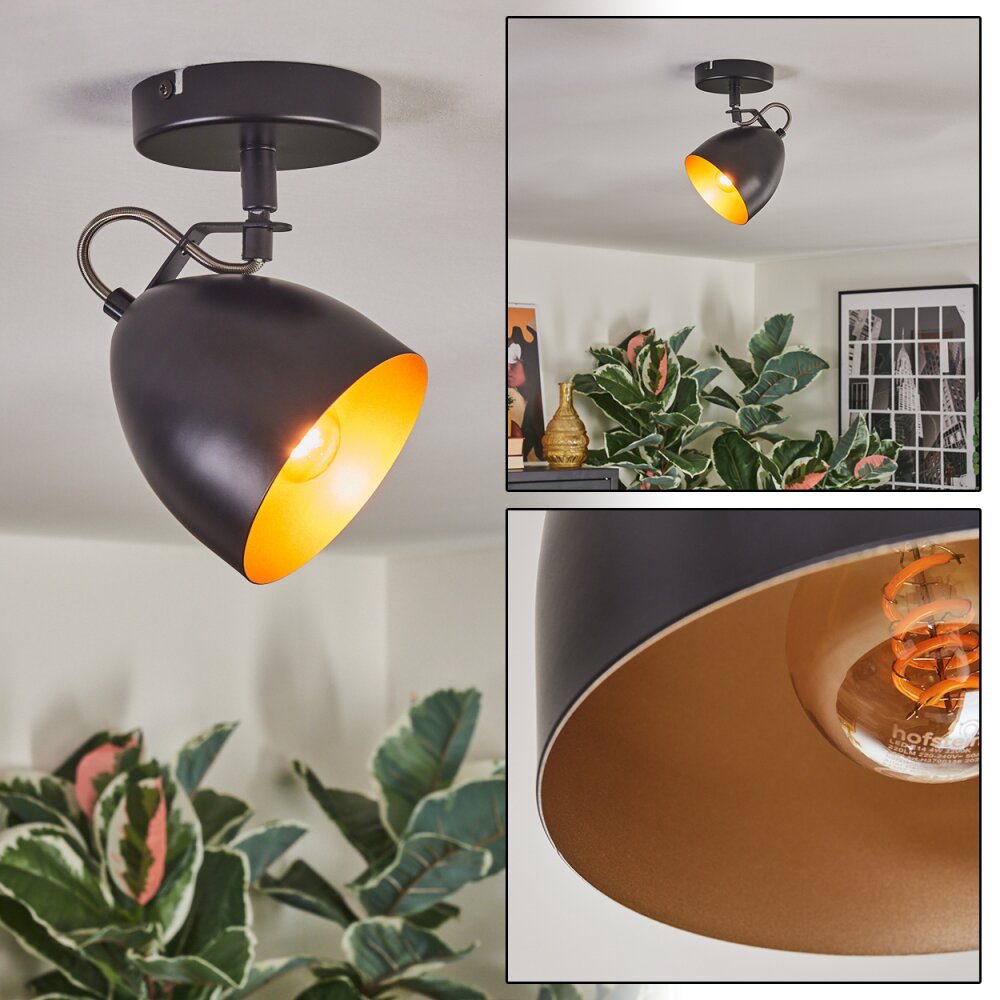 Bjedstrup Deckenleuchte Schwarz, 1-flammig main product photo