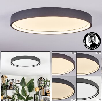 Filor Deckenleuchte LED Schwarz, 1-flammig Filor Deckenleuchte LED Schwarz, 1-flammig
