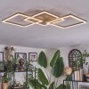 Brina Deckenleuchte LED Braun, Gold, 1-flammig