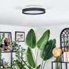Sofo Deckenleuchte LED Weiß, 1-flammig