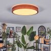 Sofo Deckenleuchte LED Weiß, 1-flammig, Fernbedienung