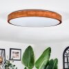 Sofo Deckenleuchte LED Weiß, 1-flammig, Fernbedienung Sofo Deckenleuchte LED Weiß, 1-flammig, Fernbedienung