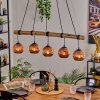 Ripoll Pendelleuchte Glas 15 cm Naturfarben, Schwarz, 5-flammig