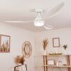 Follseland Deckenventilator LED Weiß, 1-flammig, Fernbedienung