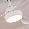 Follseland Deckenventilator LED Weiß, 1-flammig, Fernbedienung