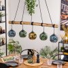 Ripoll Pendelleuchte Glas 15 cm Naturfarben, Schwarz, 5-flammig