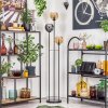 Koyoto Stehleuchte Glas 15 cm Schwarz, 3-flammig