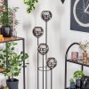 Koyoto Stehleuchte Glas 15 cm Holz dunkel, Schwarz, 4-flammig