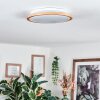 Nogueira Deckenleuchte LED Naturfarben, Weiß, 1-flammig