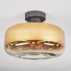 Boza Deckenleuchte Glas 28 cm Gold, Klar, 1-flammig