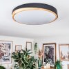 Hiral Deckenleuchte LED Naturfarben, Schwarz, 1-flammig, Fernbedienung