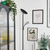 Dillingby Stehleuchte LED Schwarz, 2-flammig