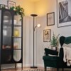 Dillingby Stehleuchte LED Schwarz, 2-flammig