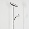 Dillingby Stehleuchte LED Schwarz, 2-flammig