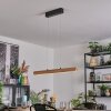 Fugelsta Pendelleuchte LED Schwarz, 1-flammig