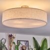 Foggia Deckenleuchte 50 cm Nickel-Matt, 3-flammig