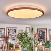 Nogueira Deckenleuchte LED Naturfarben, Weiß, 1-flammig, Fernbedienung
