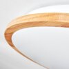 Nogueira Deckenleuchte LED Naturfarben, Weiß, 1-flammig, Fernbedienung