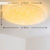 Trio Leuchten NAGANO Deckenleuchte LED Weiß, 1-flammig, Fernbedienung, Farbwechsler