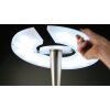 Trio Leuchten Quebec Stehleuchte LED Nickel-Matt, 1-flammig