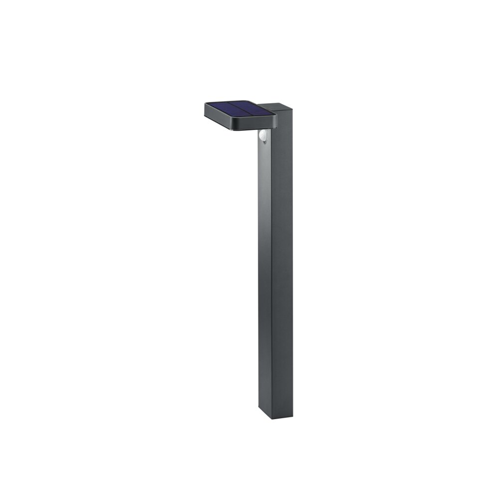 Reality Esquel Solar-Wegeleuchte LED Anthrazit, 1-flammig, Bewegungsmelder main product photo