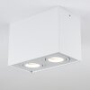 Baishan Deckenleuchte LED Weiß, 2-flammig