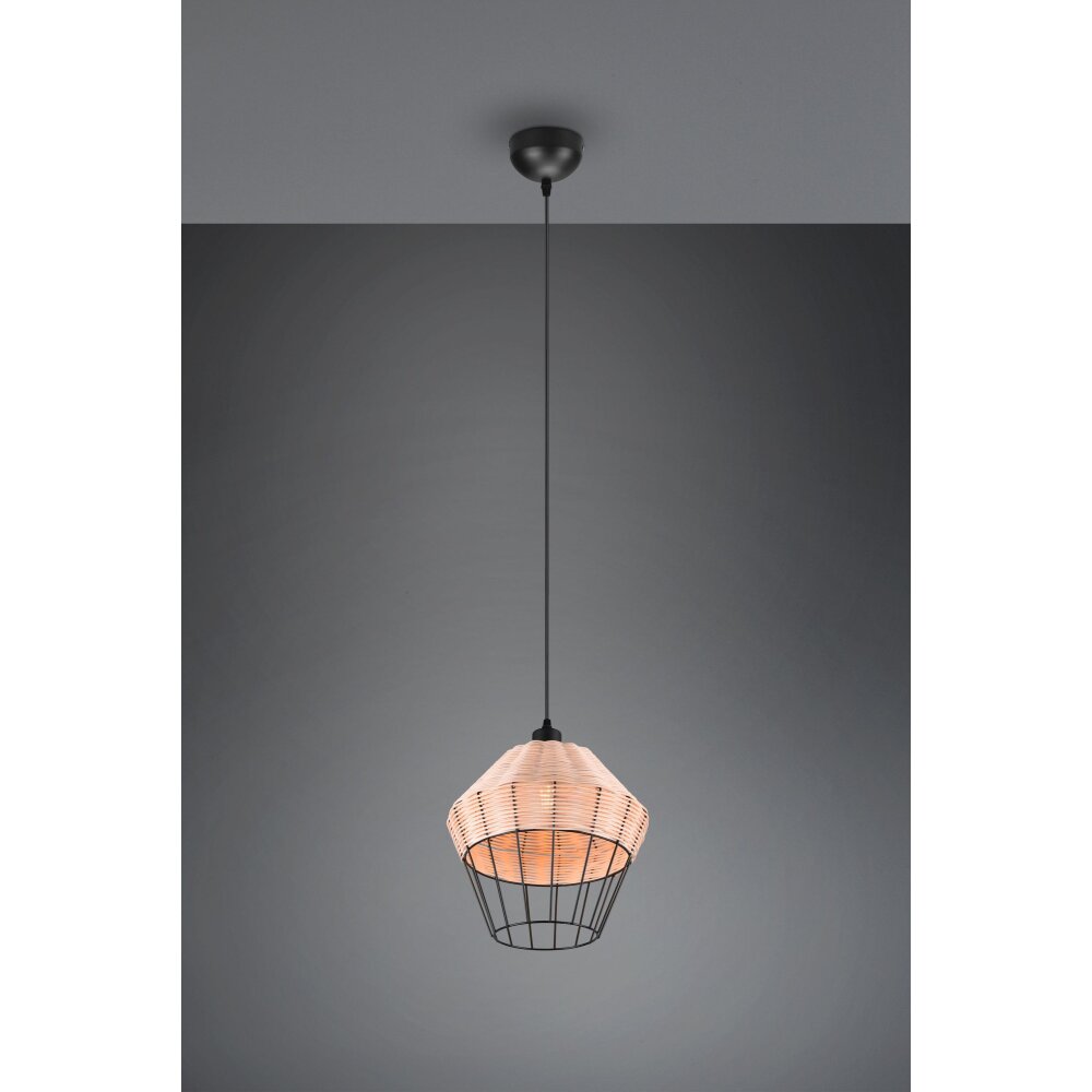 Reality Borka Pendelleuchte Schwarz, 1-flammig main product photo