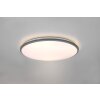 Reality Limbus Deckenleuchte LED Titan, 1-flammig