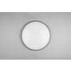 Reality Limbus Deckenleuchte LED Titan, 1-flammig
