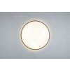 Reality Limbus Deckenleuchte LED Titan, 1-flammig