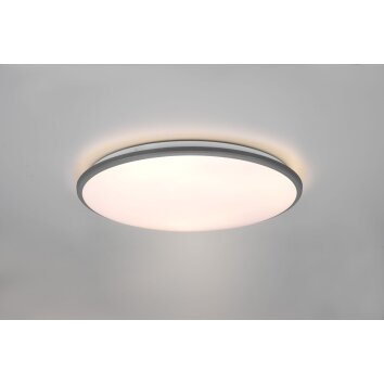 Reality Limbus Deckenleuchte LED Titan, 1-flammig