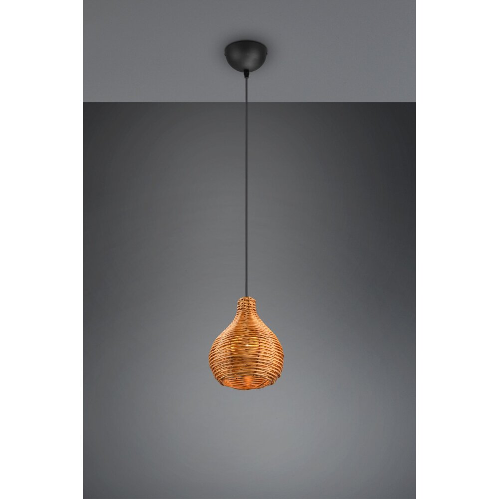 Reality Sprout Pendelleuchte Schwarz, 1-flammig main product photo