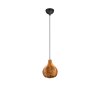 Reality Sprout Pendelleuchte Schwarz, 1-flammig